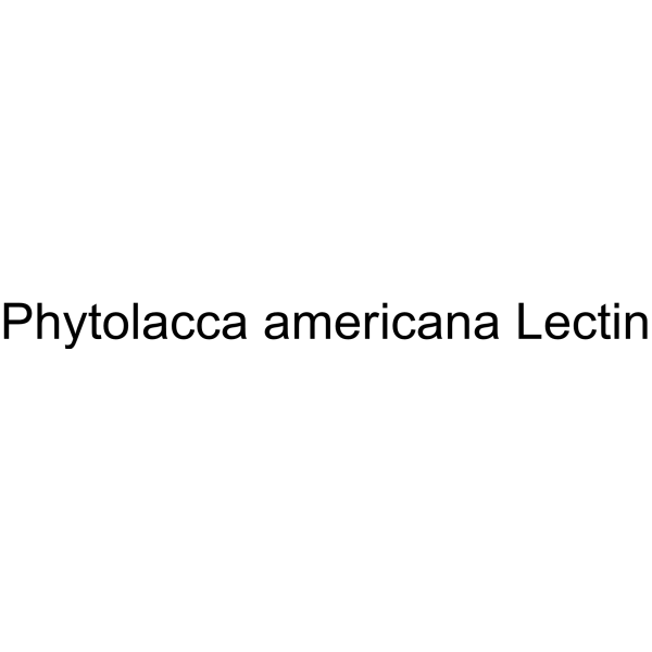Phytolacca americana Lectin
