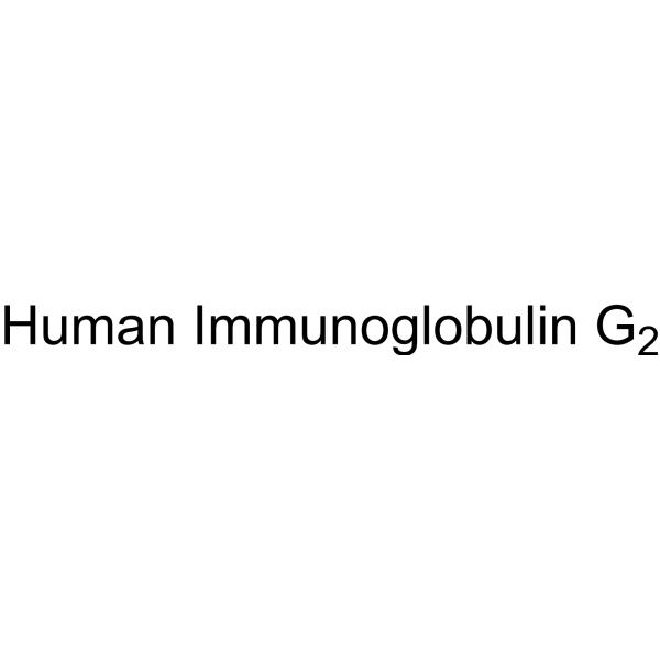 Human Immunoglobulin G2