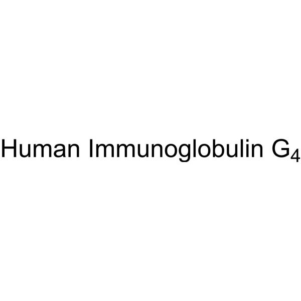 Human Immunoglobulin G4