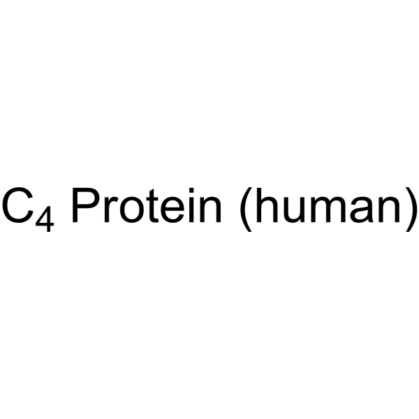 C4 Protein (human)