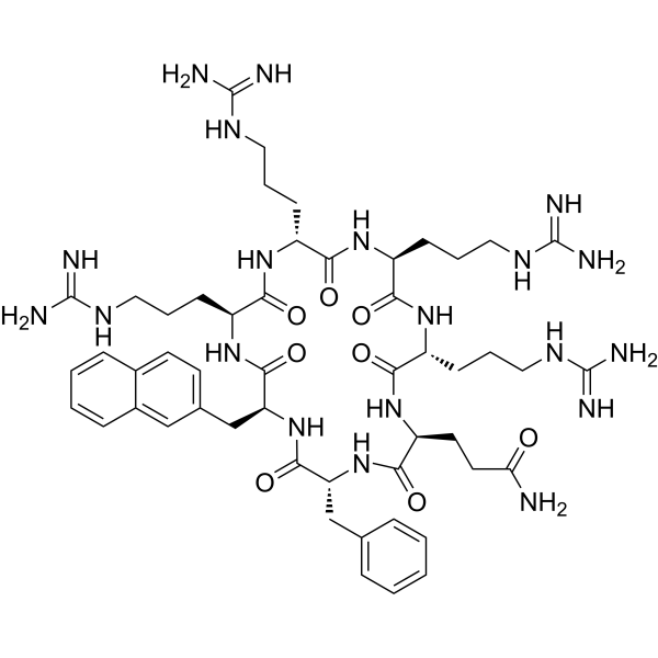 CPP9