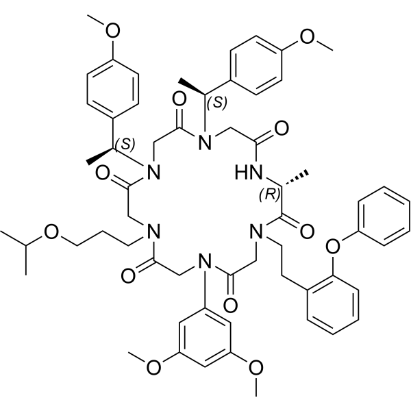 β-catenin inhibitory peptoid