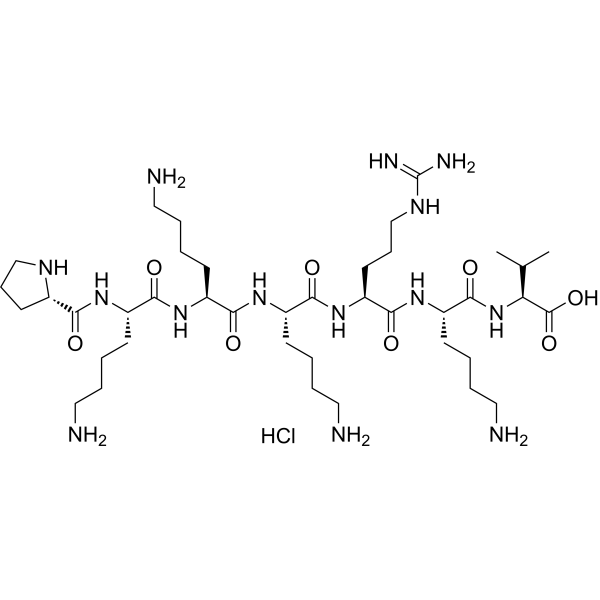 NLS (PKKKRKV) hydrochloride