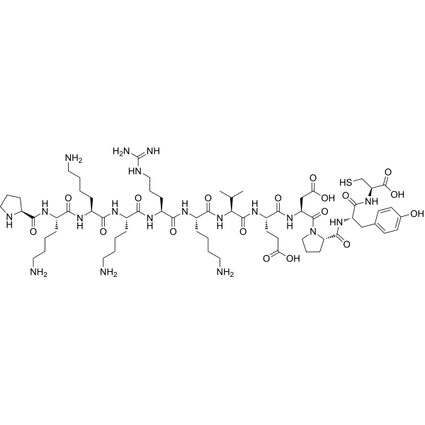 SV40 T-Ag-derived NLS peptide