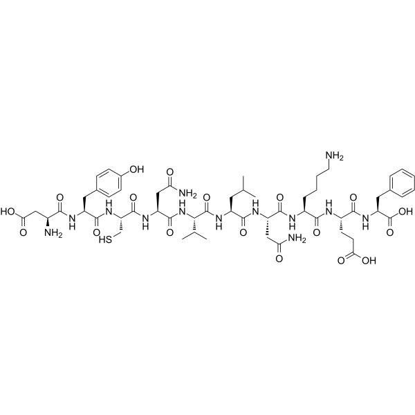 CEF14, EBV Rta Protein (28-37)