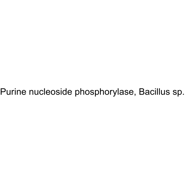 Purine nucleoside phosphorylase, Bacillus sp.