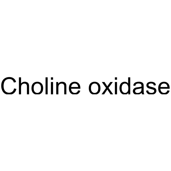 Choline oxidase