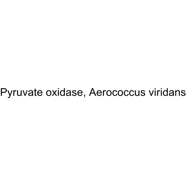 Pyruvate oxidase, Aerococcus viridans