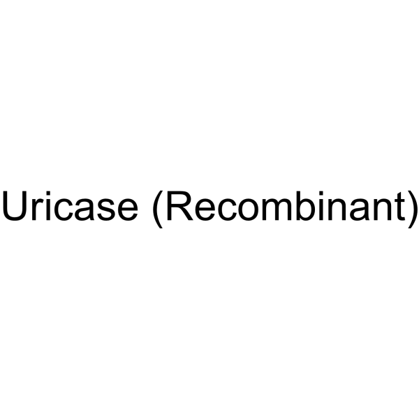 Uricase (Recombinant)