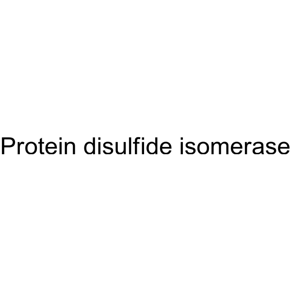 Protein disulfide isomerase