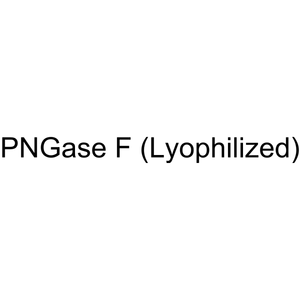 PNGase F (Lyophilized)