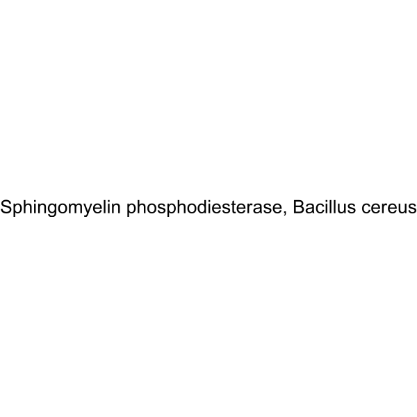 Sphingomyelin phosphodiesterase, Bacillus cereus