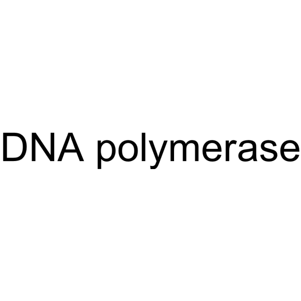 DNA polymerase