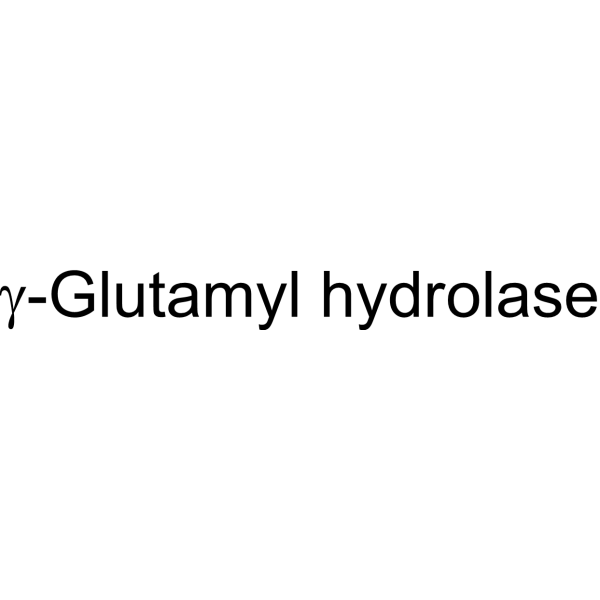 γ-Glutamyl hydrolase