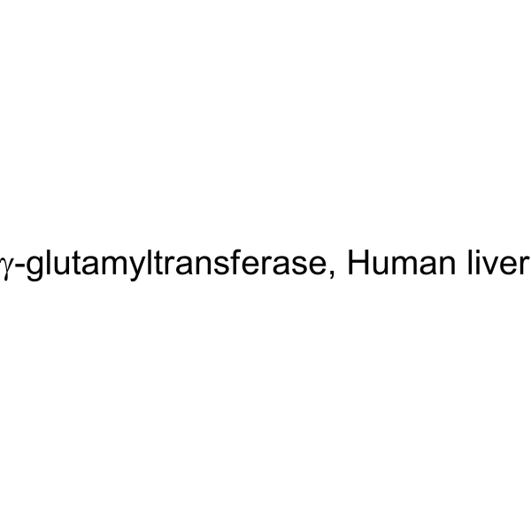 γ-glutamyltransferase, Human liver