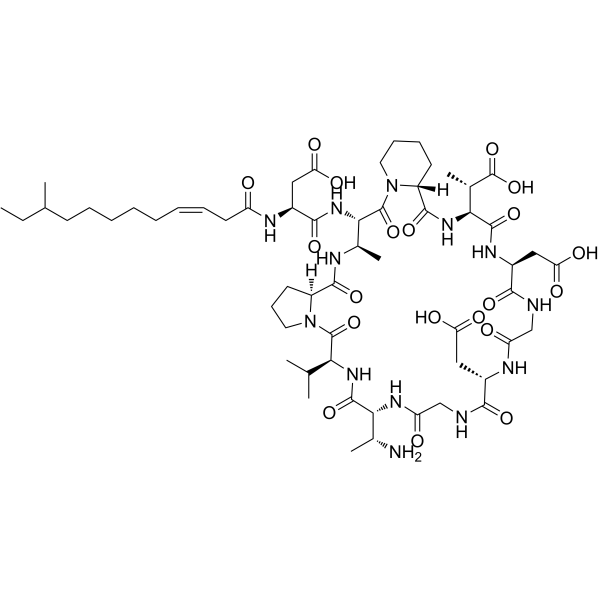 Amphomycin
