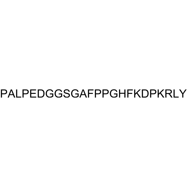 Brain Derived Basic Fibroblast Growth Factor (1-24)