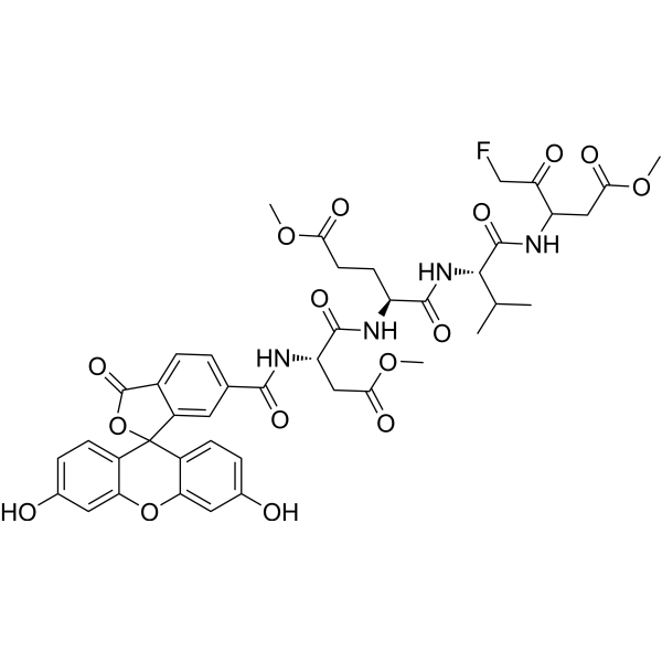Fluorescein-6-carbonyl-Asp(OMe)-Glu(OMe)-Val-DL-Asp(OMe)-fluoromethylketone