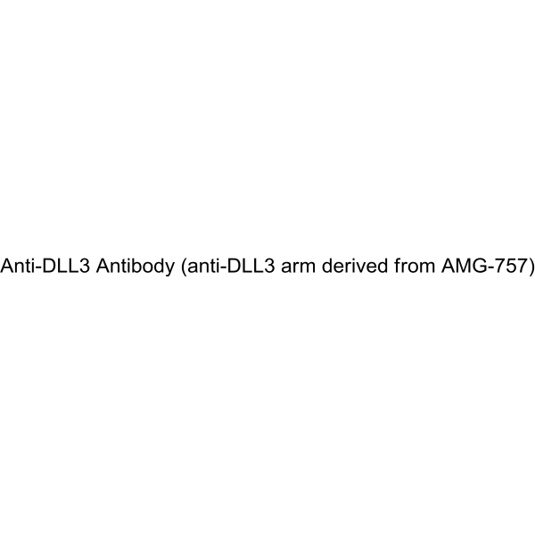 Anti-DLL3 Antibody (anti-DLL3 arm derived from AMG-757)