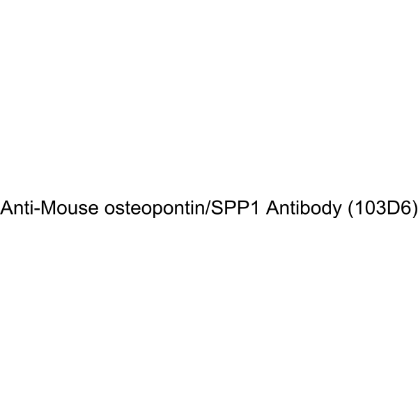 Anti-Mouse osteopontin/SPP1 Antibody (103D6)