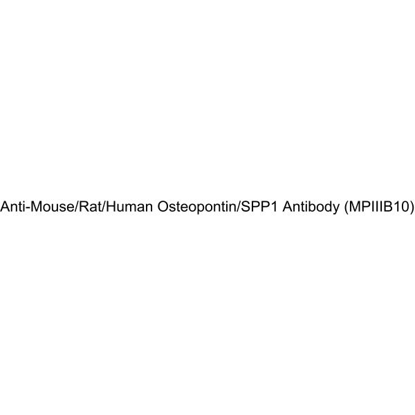 Anti-Mouse/Rat/Human Osteopontin/SPP1 Antibody (MPIIIB10)