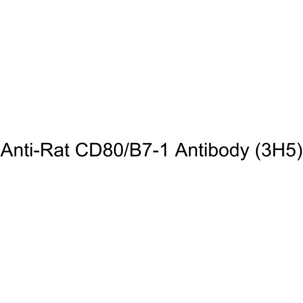 Anti-Rat CD80/B7-1 Antibody (3H5)