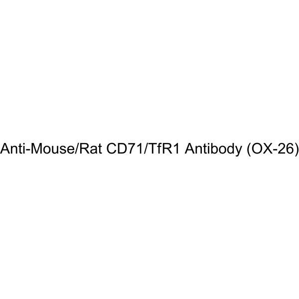 Anti-Mouse/Rat CD71/TfR1 Antibody (OX-26)