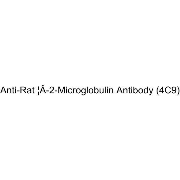 Anti-Rat β-2-Microglobulin Antibody (4C9)