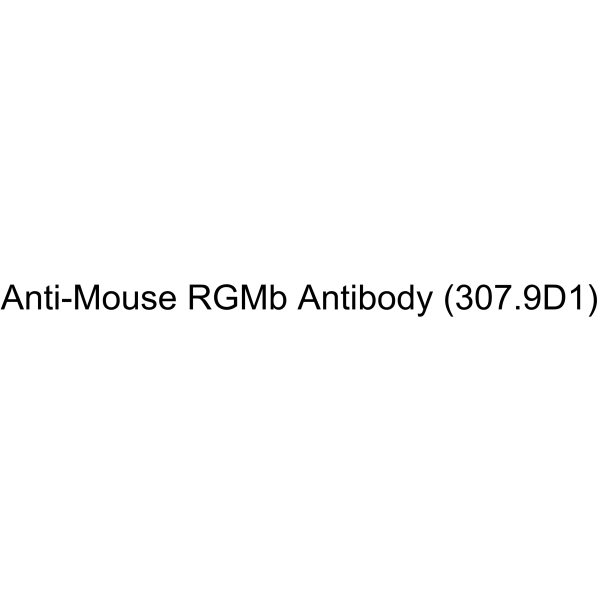 Anti-Mouse RGMb Antibody (307.9D1)