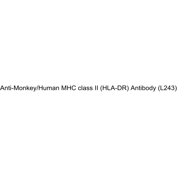 Anti-Monkey/Human MHC class II (HLA-DR) Antibody (L243)