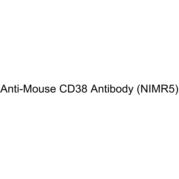 Anti-Mouse CD38 Antibody (NIMR5)