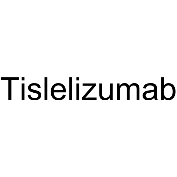 Tislelizumab