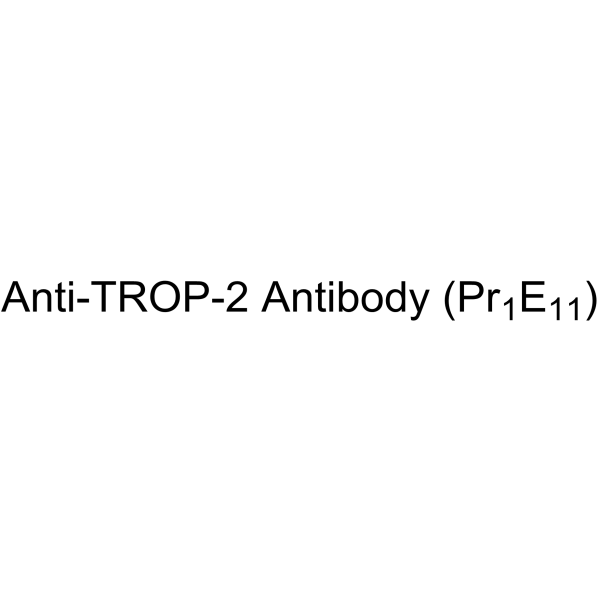 Anti-TROP-2 Antibody (Pr1E11)