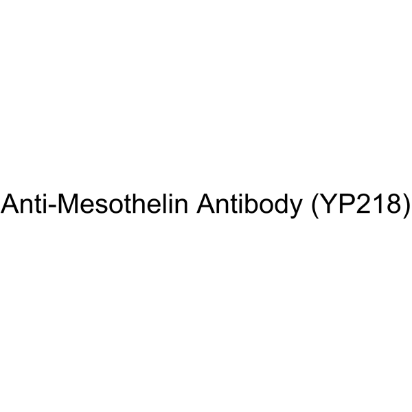 Anti-Mesothelin Antibody (YP218)