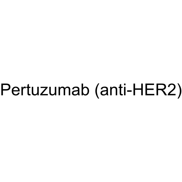 Pertuzumab (anti-HER2)