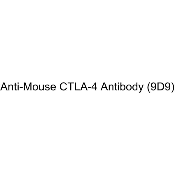 Anti-Mouse CTLA-4 Antibody (9D9)