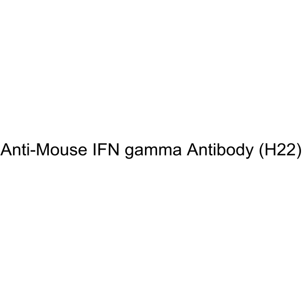 Anti-Mouse IFN gamma Antibody (H22)