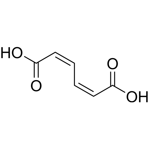 cis,cis-Muconic acid (Standard)