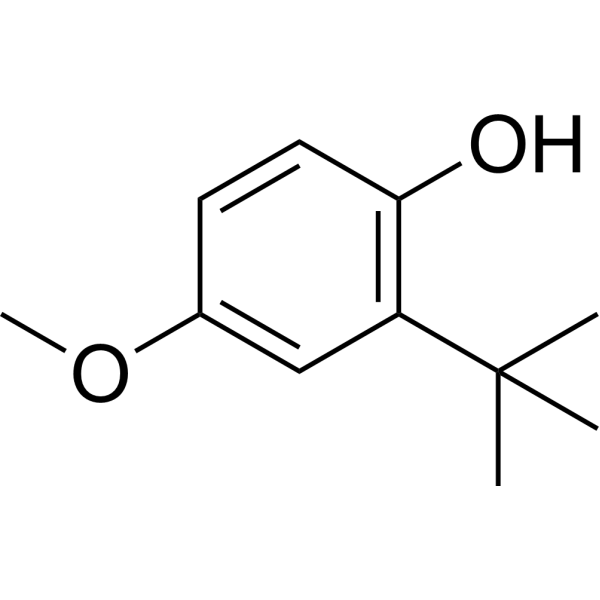 2-(tert-Butyl)-4-methoxyphenol (Standard)