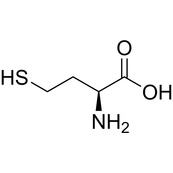 L-Homocysteine (Standard)