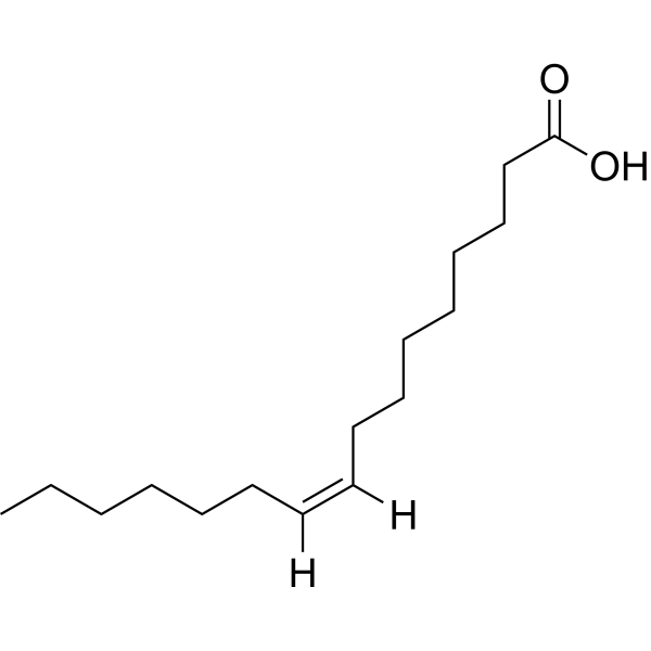 Palmitoleic acid (Standard)