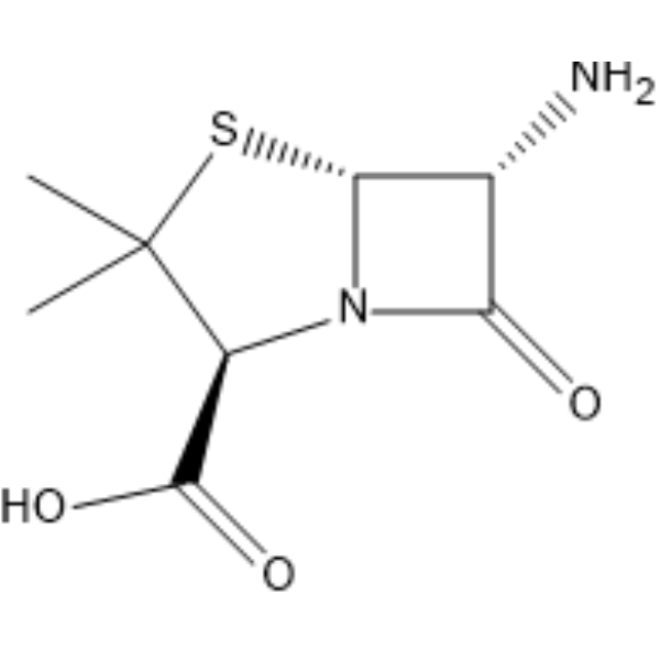 6-Aminopenicillanic acid (Standard)