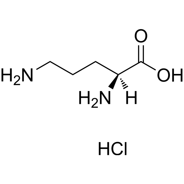 L-Ornithine hydrochloride (Standard)