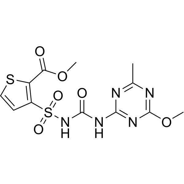 Thifensulfuron-methyl (Standard)