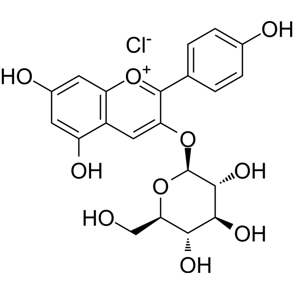 Callistephin chloride (Standard)