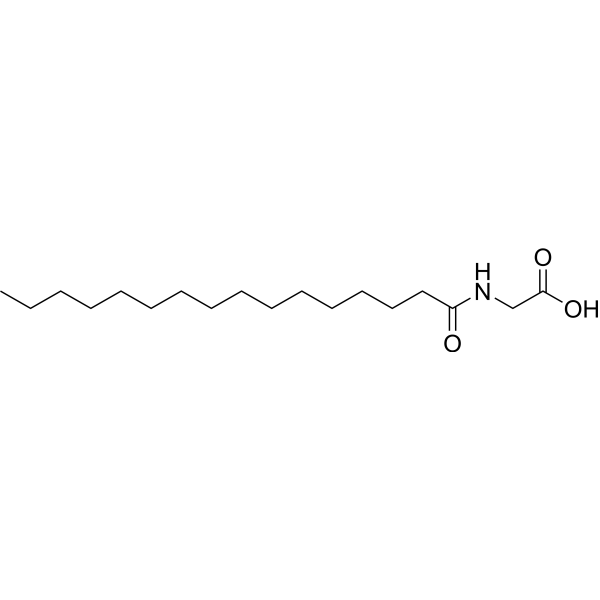 Palmitoylglycine (Standard)