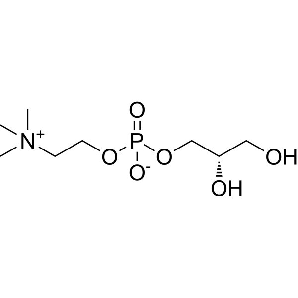 Glycerophosphocholine