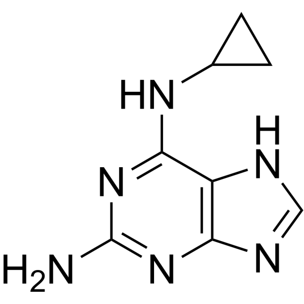 N6-Cyclopropyl-9H-purine-2,6-diamine (Standard)