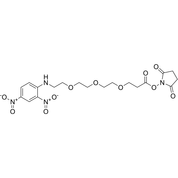 DNP-PEG3-NHS ester