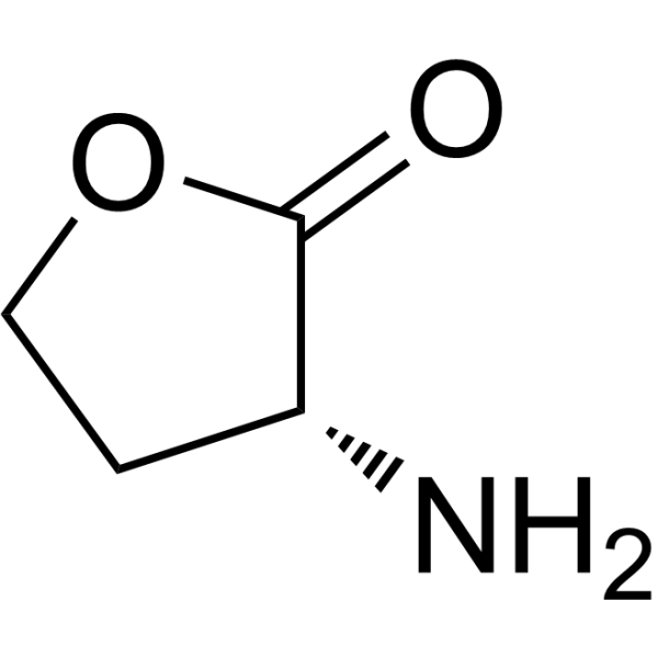 D-Homoserine lactone